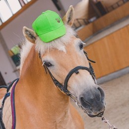 KOŇSKÝ TÁBOR 